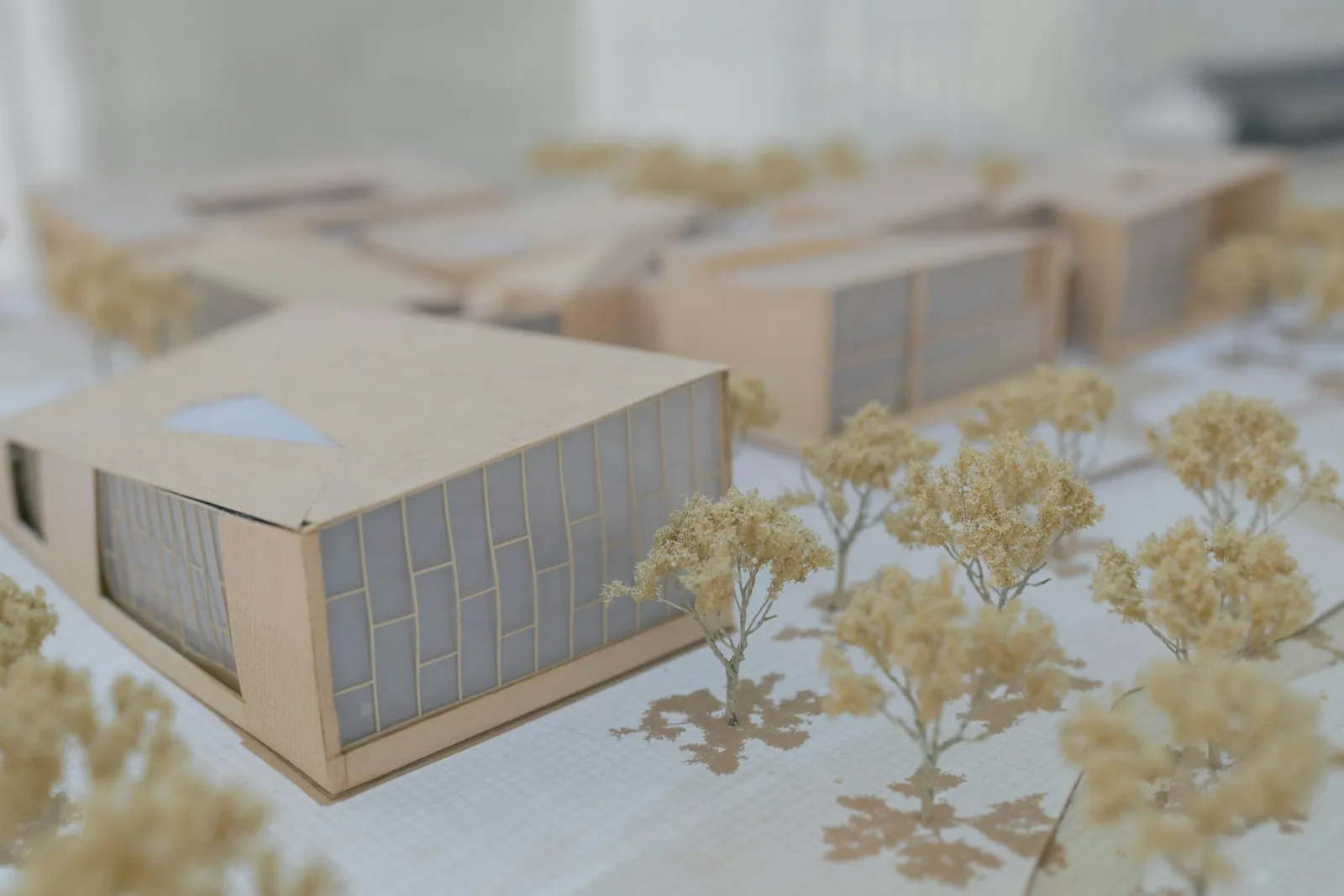 Maquette d’architecte, bâtiments et arbres miniatures