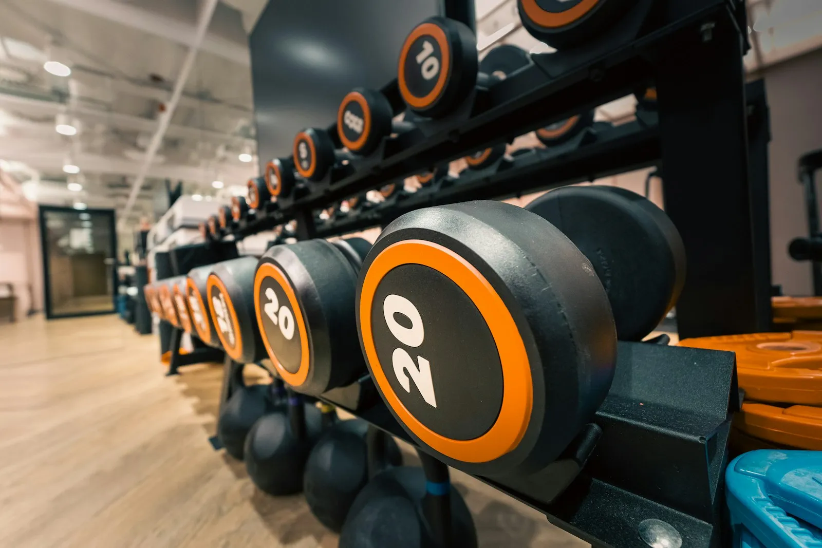 Haltères rangés sur un portoir dans une salle de sport